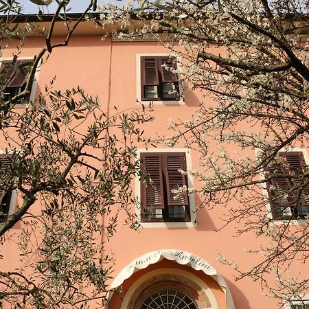 Angelini Dal 1911 Hotel Lucca Exterior photo